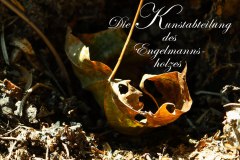 Nr.-1272-Art-of-nature-im-Engelmannsholz