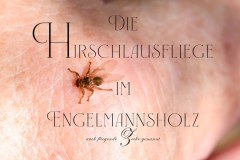 Nr.-1276-Hirschlausfliege