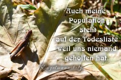 Nr.-1329-Ausrottung-der-Heuschrecken-im-Engelmannsholz