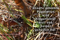 Nr.-1330-Ausrottung-der-Heuschrecken-im-Engelmannsholz