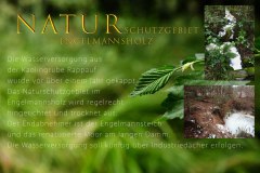 Nr.-1366-Kappung-der-Wasserversorgung-im-Engelmannsholz