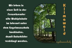 Nr.-1371-Medien-in-der-Oberpfalz