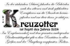 Nr.-1372-Die-Kreuzotter-Reptil-des-Jahres-2024
