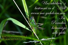 Nr.-1374-Engelmannsholz-Naturschutzgebiet
