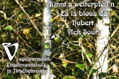 Nr.-1375-Vogelparadies-Engelmannsholz