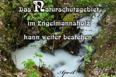 Nr.-1379-Wasserzulauf-von-der-Rappaufgrube