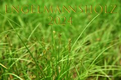 Nr.-1383-Engelmannsholz-2024