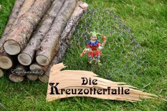 Nr.-1392-Die-Kreuzotterfalle