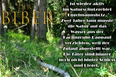 Nr.-1393-Das-Wasser-aus-der-Kaolingrube