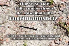 Nr.-1395-Versteckte-Haselmausfalle