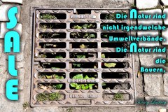 Nr.-1397-Daaa-Lucke