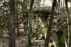 Nr.-141-Felsen-im-Engelmannsholz