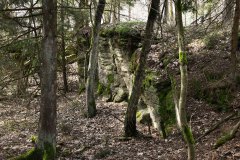 Nr.-142-Felsen-im-Engelmannsholz