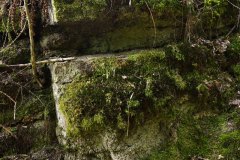 Nr.-145-Felsen-im-Engelmannsholz