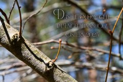 Nr.-1488-Ostern-2025-im-Engemannsholz
