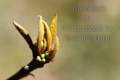 Nr.-1489-Ostern-im-Engelmannsholz