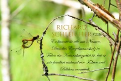 Nr.-1494-Herr-Schleicher-Richard Naturschützer Regierungsbeamter