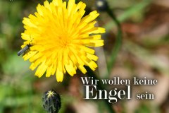 Nr.-153-Das-neue-Moor-am-langen-Damm