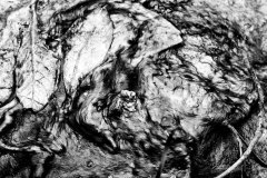 Nr.-298-Kunstwerk-Art-of-nature-Engelmannsholz
