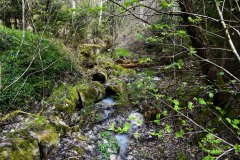 Nr.-301-Wasserzulauf-Engelmannsteich-im-Engelmannsholz