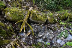 Nr.-302-Wasserzulauf-Engelmannsteich-im-Engelmannsholz