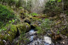 Nr.-304-Wasserzulauf-Engelmannsteich-im-Engelmannsholz