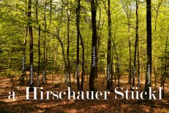 Nr.-373-Flaechenversiegelung-Engelmannsholz