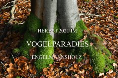 Nr.-38-Vogelparadies-Engelmannsholz