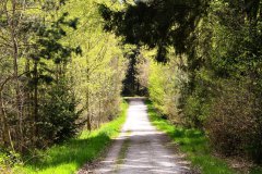 Nr.-381-Wanderweg-Engelmannsholz