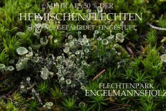 Nr.-44-Flechtenpark-Engelmannsholz