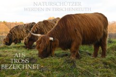 Nr.-45-Naturschuetzer-als-Tross