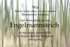 Nr.-47-Wir-haben-schon-dass