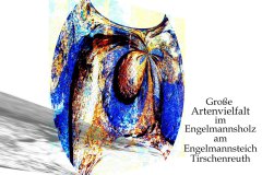 Nr.-48-Grosse-Artenvielfalt-Engelmannsteich