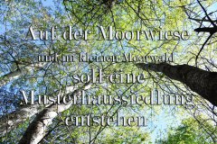 Nr.-498-Musterhaussiedlung-in-Moorwiese-Engelmannsteich