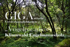 Nr.-55-Gigantische-Versteckmoeglichkeiten