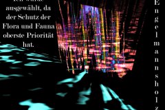 Nr.-57-Engelmannsholz-ausgesucht