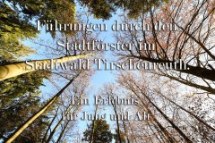 Nr.-59-Fuehrungen-durch-den-Stadtwald-Tirschenreuth