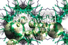 Nr.-60-Versiegelter-Klimawald