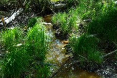 Nr.-623-Wasserzulauf-Engelmannsteich