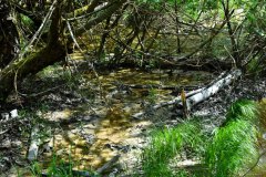 Nr.-625-Engelmannsholz-Wasserzulauf