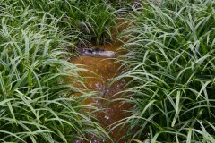 Nr.-636-Wasserzulauf-Engelmannsteich