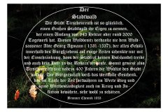 Nr.-651-Stadtwald-Tirschenreuth