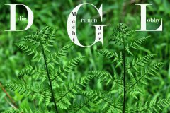 Nr.-652-Die-gruenen-Lobby