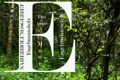 Nr.-694-Engelmannsholz-Naherholungsgebiet