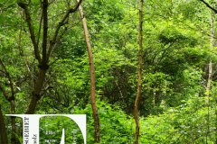 Nr.-695-Naherholungsgebiet-Englannsholz