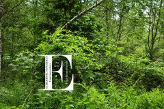 Nr.-696-Naherholungsgebiet-Engelmannsholz