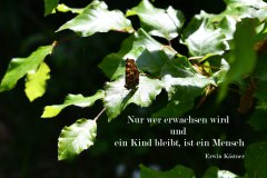 Nr.-703-Erich-Kaestner-Nur-wer-Kind