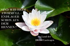 Nr.-715-Im-Land-der-100.000-Lastwagen
