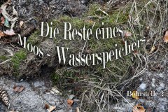 Nr.-813-Bohrstelle-2-Wasserspeicher-Engelmannsholz