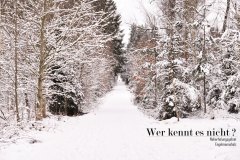 Nr.-89-Naherholungsgebiet-Engelmannsholz
